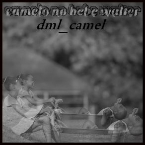 Download track Hoje Sou Pai Dml Camel