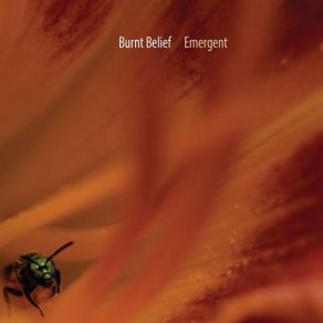 Download track Emergent Burnt Belief