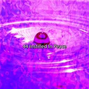 Download track Claim Your Well Being Guided Meditation