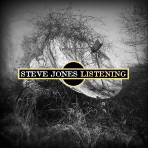 Download track Just Not Quite What You Want Steve Jones