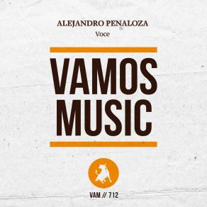 Download track Voce (Felipe Pinto Radio Edit) Alejandro PeñalozaFelipe Pinto