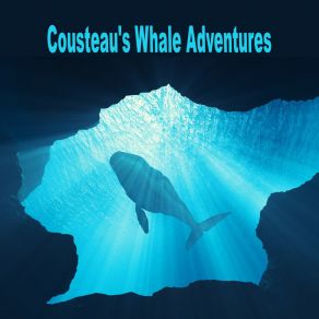 Download track Wild Blue Paradise Cousteau