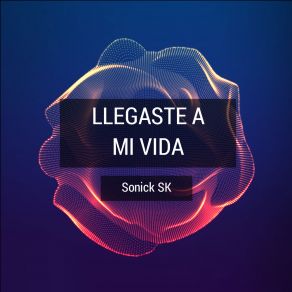 Download track Llegaste A Mi Vida Sonick Sk