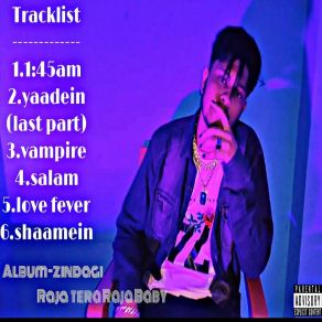 Download track Shaamein RAJA TERA RAJA BABY