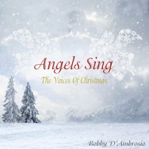 Download track What Christmas Was Meant To Be (Special Jazz Version) Bobby D'AmbrosioChez G