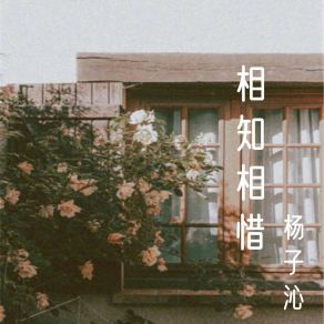 Download track 我有个秘密 杨子沁