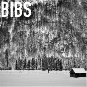 Download track Chilling Misadventures In Oneironautics Bibs