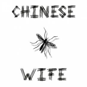 Download track Punk'N'Roll Or Not Chinese Wife