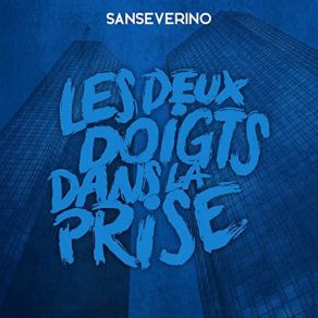 Download track Je N'en Veux Pas Sanseverino