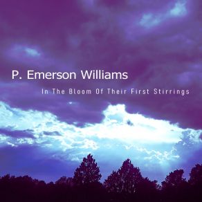 Download track Take Pleasure In The Ecstasy Of Panic P. Emerson Williams