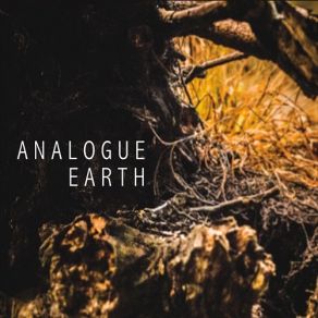 Download track Just Maybe Analogue Earth