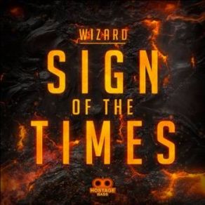 Download track Sign Of The Times The Wizard