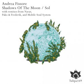 Download track Shadows Of The Moon (Mobile Soul System Remix) Andrea Fissore