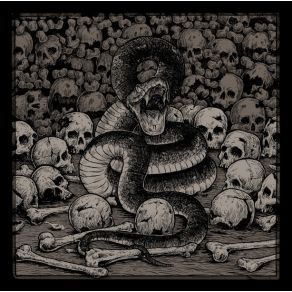 Download track Victims Of Mental Enslavement Deathstorm