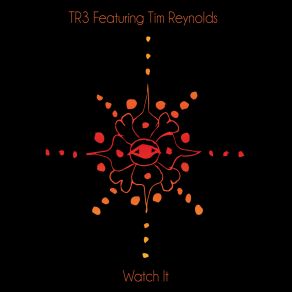 Download track Dirty Feet Tim Reynolds, TR3