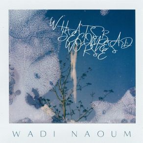 Download track What's Bad Becomes Worse Wadi Naoum