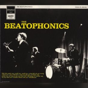 Download track Just A Little Bit (Mono) The Beatophonics