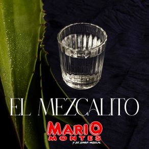 Download track El Mezcalito Su Simba Musical