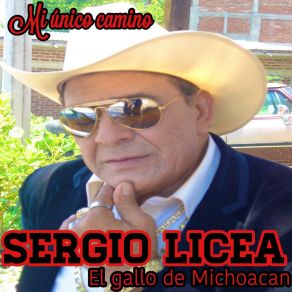 Download track Triste Sergio Licea El Gallo De Michoacan