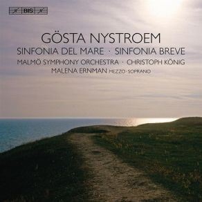 Download track 3. Sinfonia Del Mare - Allegro - Gosta Nystroem