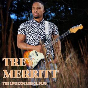 Download track Don't Move The Groove Trey Merritt