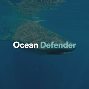Download track Ocean Defender, Pt. 10 Calming Waves