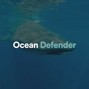 Download track Ocean Defender, Pt. 24 Calming Waves