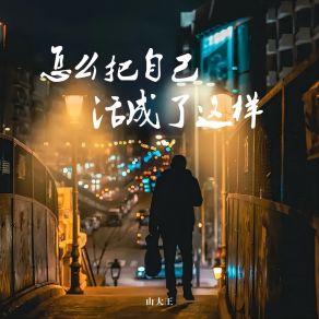 Download track 怎么把自己活成了这样 (伴奏版) 山大王