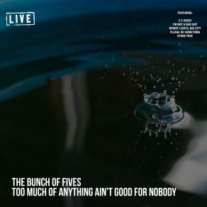 Download track Please Do Something (Live) Bunch Of Fives