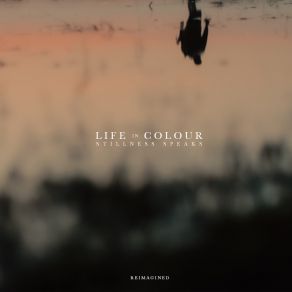 Download track Stillness Speaks Reimagined Life In Colour