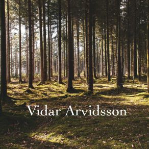 Download track Kiss Me More Vidar Arvidsson