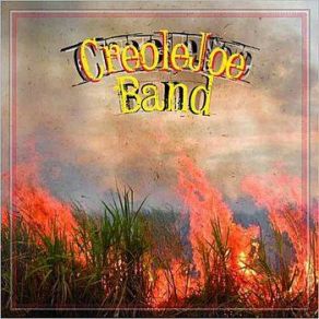 Download track Jambalaya Jumble CJ Chenier, Creole Joe BandRay Parker Jr.