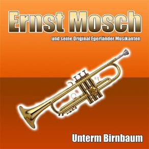 Download track Unterm Birnbaum Seine Original Egerländer Musikanten