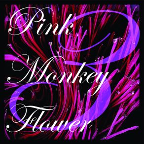 Download track Rose Wine Pink Monkey Flower