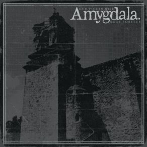 Download track Semillas Amygdala