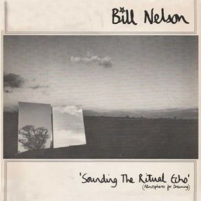 Download track Endless Orchids Bill Nelson