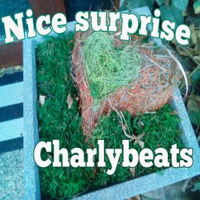 Download track Now And Here Charlybeats