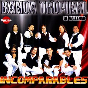 Download track Dios Mio Has Que Me Enamore Banda Tropikal De Vallenar