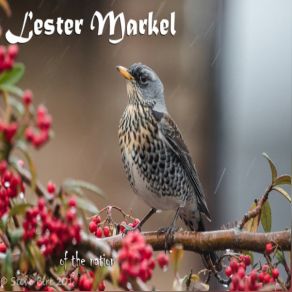 Download track Of The Nation Lester Markel