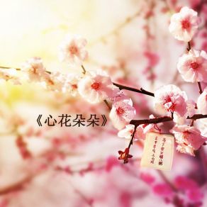 Download track 心花朵朵 佟丽娅