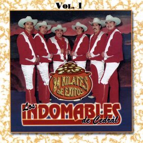 Download track Carino Los Indomables De Cedral