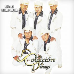 Download track Reencuentro La Colección De Durango