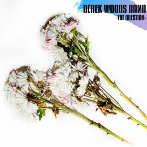 Download track Distance Derek Woods Band