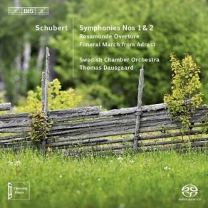 Download track 09 - Symphony No. 2 In B Flat Major, D 125 (1814-15) - IV. Presto Vivace Franz Schubert