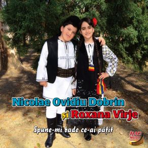 Download track Pe Campul Cu Florile Roxana Virje