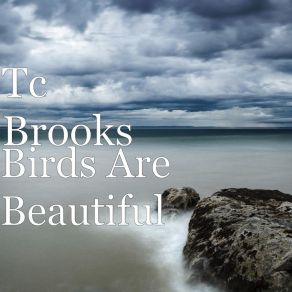 Download track The Birds Are Flying In The Air (Cool Mix) Tc Brooks