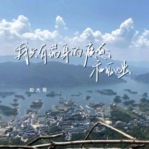 Download track 我只有满身的疲惫和孤独 衫大哥