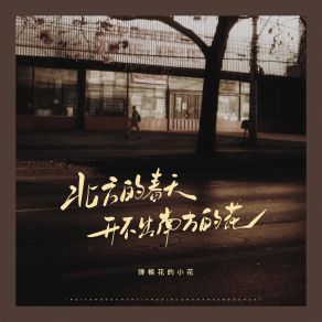 Download track 北方的春天开不出南方的花 (小花版) 弹棉花的小花