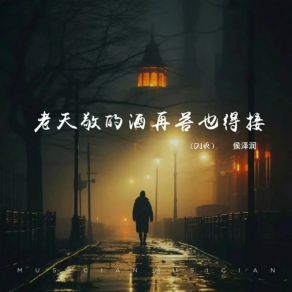 Download track 老天敬的酒再苦也得接 (Dj版) 侯泽润