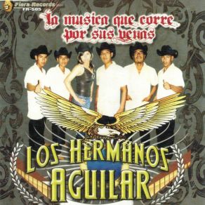 Download track Mi Linda Huasteca Los Hermanos Aguilar